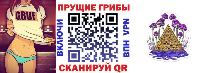цена   Луга  Галлюциногенные грибы Cubensis 