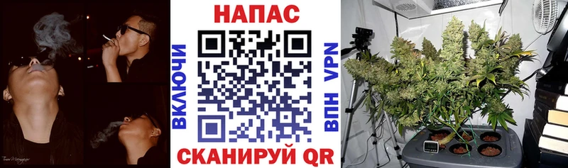 Бошки марихуана VHQ  Луга 